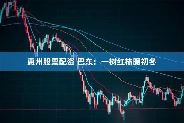 惠州股票配资 巴东：一树红柿暖初冬