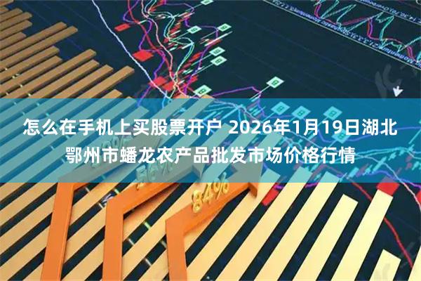 怎么在手机上买股票开户 2026年1月19日湖北鄂州市蟠龙农产品批发市场价格行情
